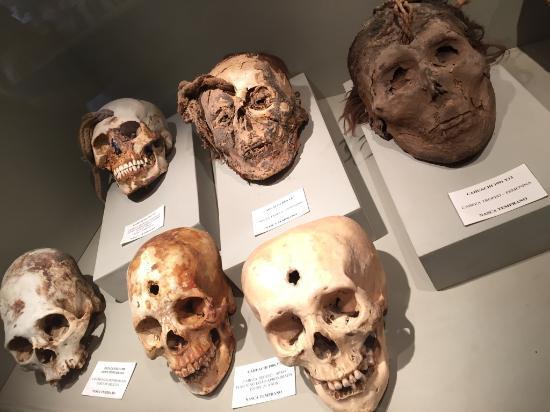 Didactic Museum Antonini