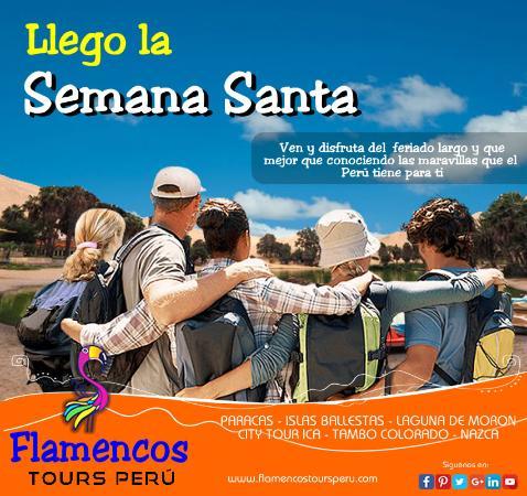 Flamencos Tours Peru