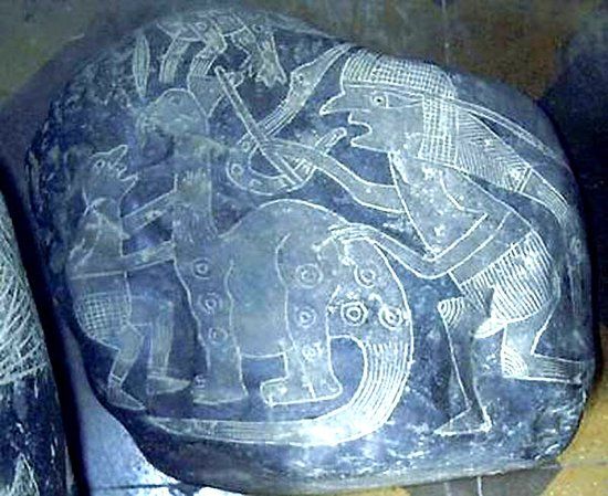 el Museo Científico Javier Cabrera