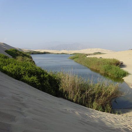 el Oasis de Morón
