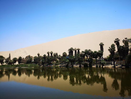 la Laguna de Huacachina